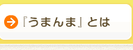 「うまんま」とは